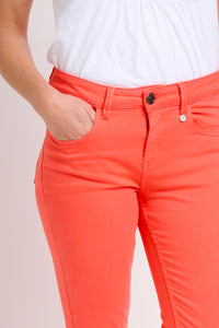 DIANTHUS JEANS